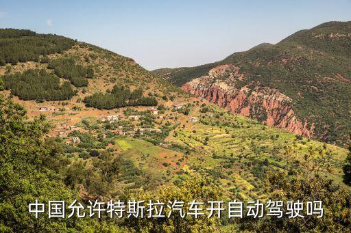 特斯拉無人駕駛，中國允許特斯拉汽車開自動駕駛嗎