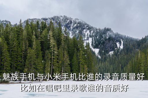 錄音比，錄音筆 錄音位率128K bps 算好嗎