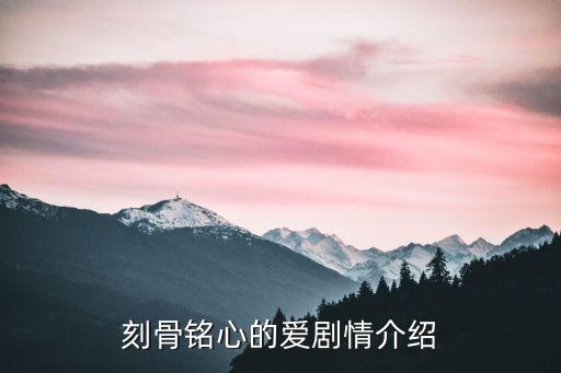 刻骨銘心的愛劇情介紹