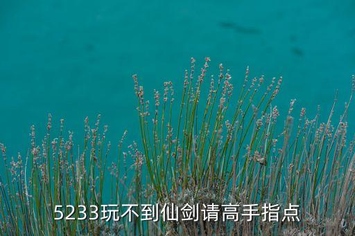 glip，5233玩不到仙劍請高手指點(diǎn)