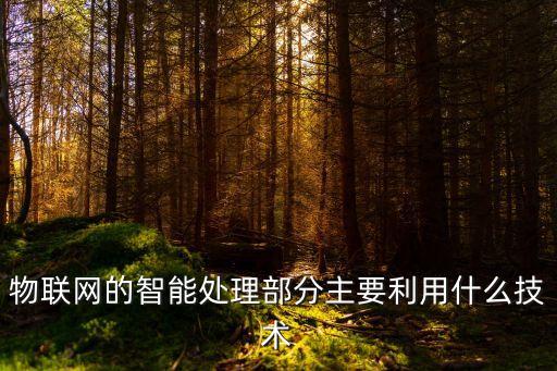 物聯(lián)網(wǎng)的智能處理部分主要利用什么技術(shù)
