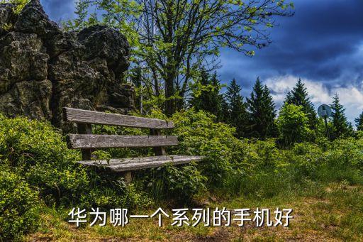 華為哪一個(gè)系列的手機(jī)好