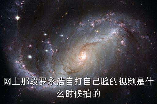羅永浩打臉，羅永浩打臉是什么電影啊