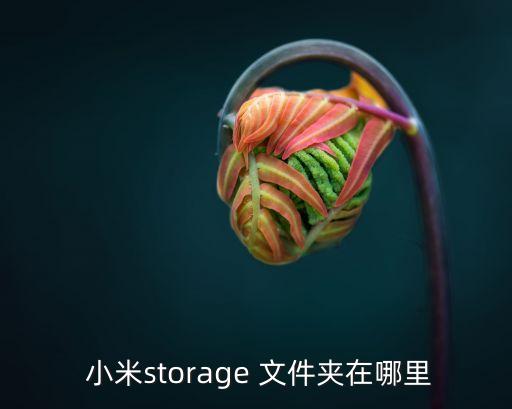  小米storage 文件夾在哪里