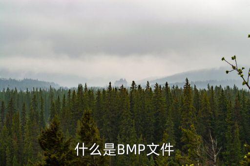 bmp文件，bmp格式是什么
