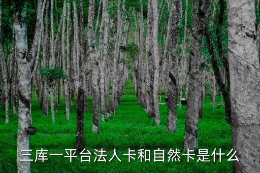 法人卡，法人卡和IKER卡要到那辦理呢