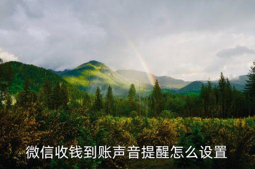 微信收款聲音怎么設(shè)置,怎么設(shè)置微信收款聲音?點擊瀏覽