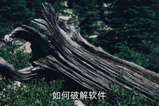如何破解軟件，如何破解軟件