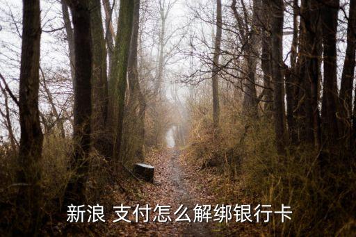 新浪支付