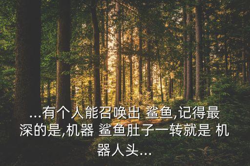 ...有個(gè)人能召喚出 鯊魚,記得最深的是,機(jī)器 鯊魚肚子一轉(zhuǎn)就是 機(jī)器人頭...