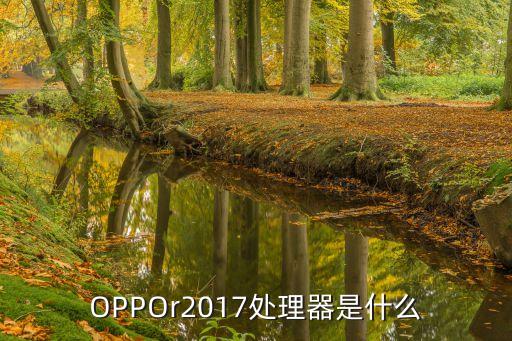 OPPOr2017處理器是什么
