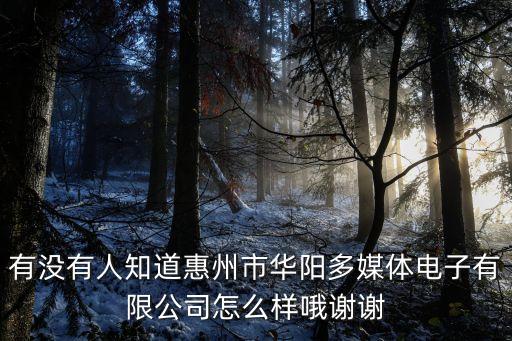 華陽多媒體，有沒有人知道惠州市華陽多媒體電子有限公司怎么樣哦謝謝