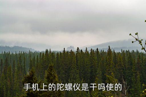 手機(jī)陀螺儀有什么用，手機(jī)加入陀螺儀有什么用呢華為榮耀加入了嗎