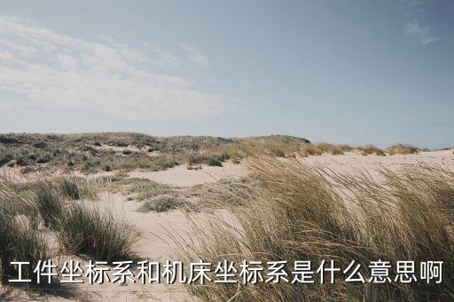 工件坐標(biāo)系，標(biāo)準(zhǔn)坐標(biāo)系工件坐標(biāo)系機(jī)床坐標(biāo)系這三者有什么區(qū)別