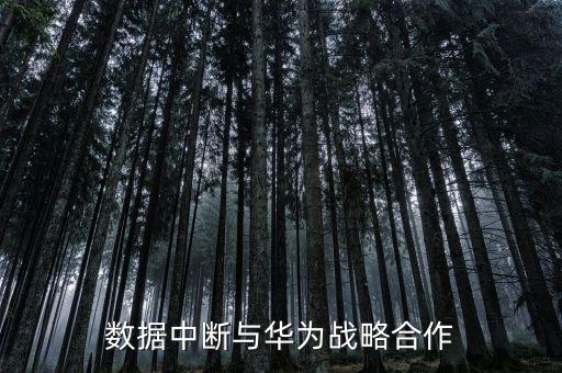 西部數據中斷與華為戰(zhàn)略合作