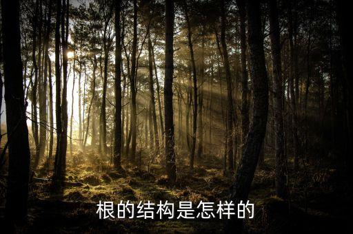 可的結(jié)構(gòu)，可的繁體字是什么