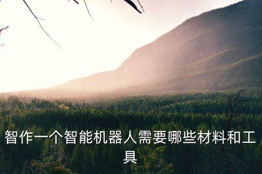 智作一個智能機器人需要哪些材料和工具