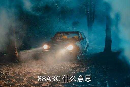 88A3C 什么意思