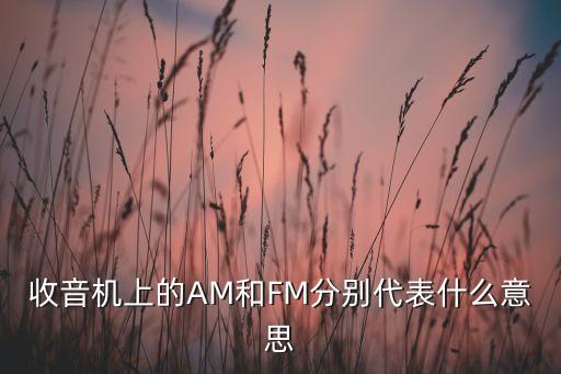 收音機上的AM和FM分別代表什么意思