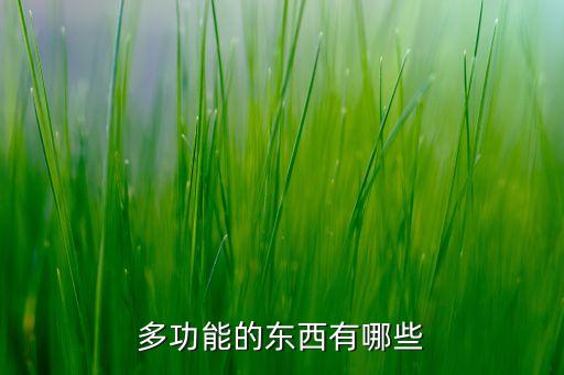 多功能的東西有哪些