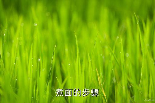 煮面條自動化設(shè)備視頻,自動面條機多少錢?一般分為幾類