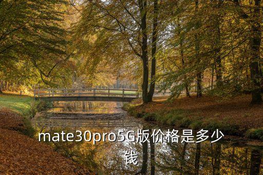 leica華為哪一款，mate30pro5G版價格是多少錢