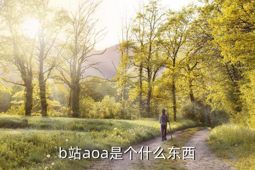 b站aoa是個(gè)什么東西