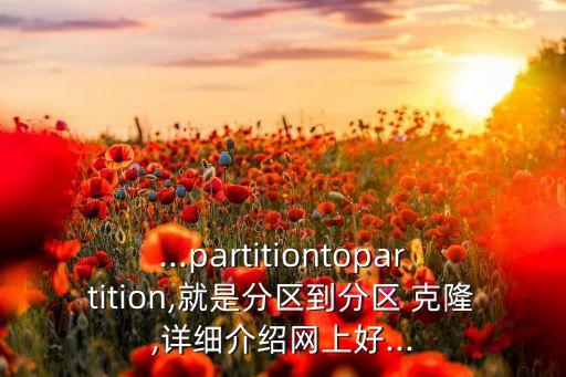 ...partitiontopartition,就是分區(qū)到分區(qū) 克隆,詳細(xì)介紹網(wǎng)上好...