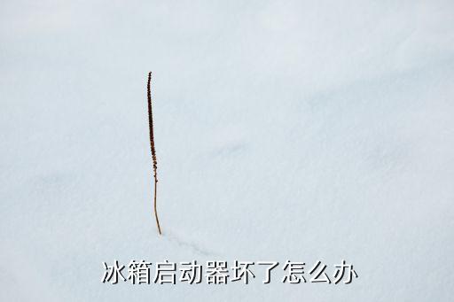  冰箱啟動器壞了怎么辦