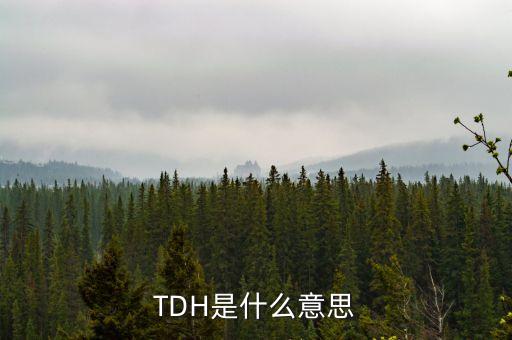 TDH是什么意思