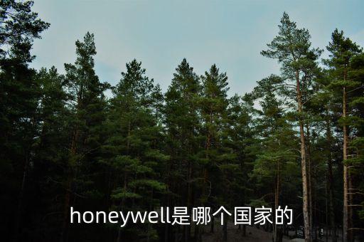 honeywell是什么牌子，霍尼韋爾是 哪個國家的品牌 急急 急