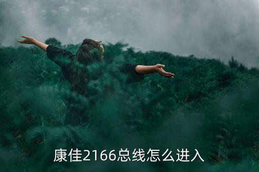 2166，康佳2166總線怎么進入