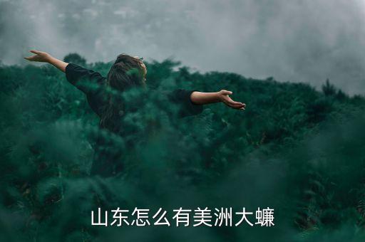 山東怎么有美洲大蠊