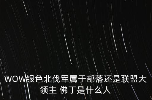 佛丁,為什么佛丁兒子死了他還淡定北伐?