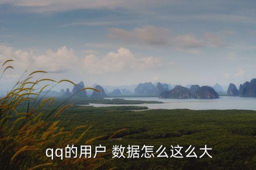  qq的用戶 數(shù)據(jù)怎么這么大