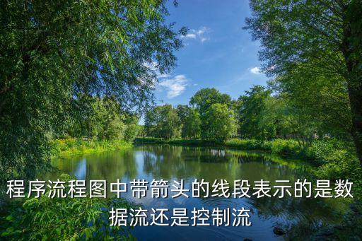 程序流程圖中帶箭頭的線段表示的是數(shù)據(jù)流還是控制流