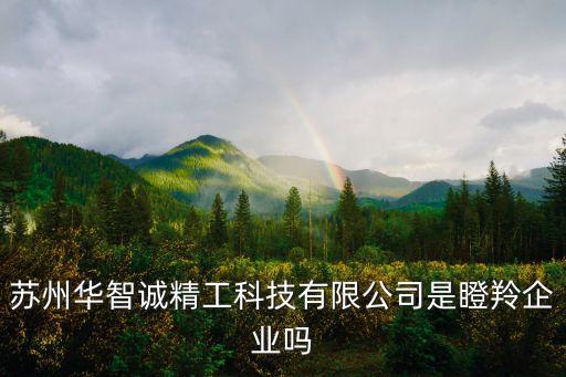 蘇州華智誠(chéng)精工科技有限公司是瞪羚企業(yè)嗎