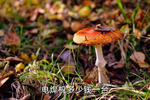 焊機多少錢，雷邦電焊機多少錢