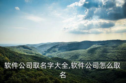 軟件公司取名字大全,軟件公司怎么取名