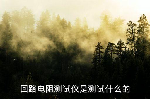 回路電阻測試儀是測試什么的