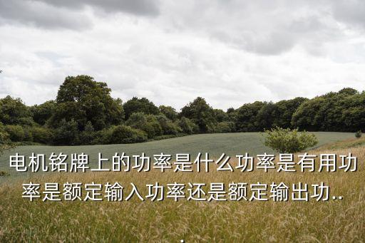 電機(jī)銘牌上的功率是什么功率是有用功率是額定輸入功率還是額定輸出功...