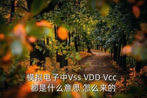 模擬電子中Vss VDD Vcc 都是什么意思 怎么來的