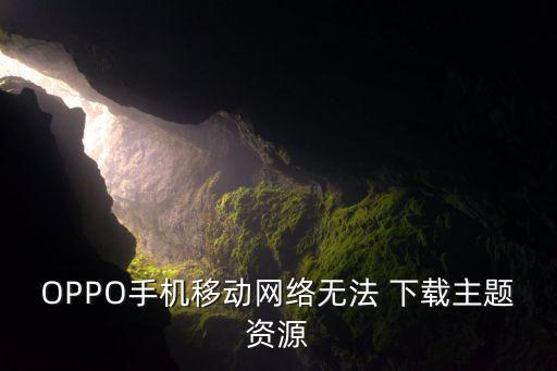OPPO手機(jī)移動網(wǎng)絡(luò)無法 下載主題資源