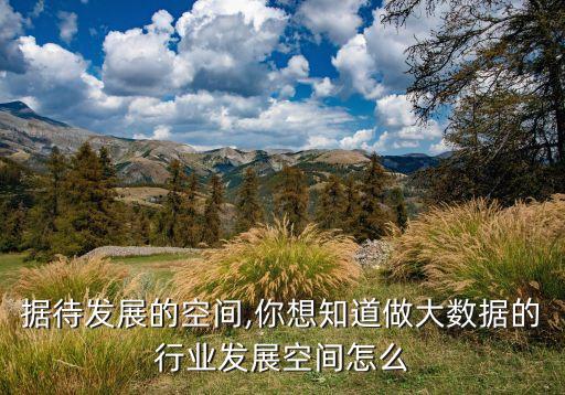 大數(shù)據(jù)待發(fā)展的空間,你想知道做大數(shù)據(jù)的行業(yè)發(fā)展空間怎么?