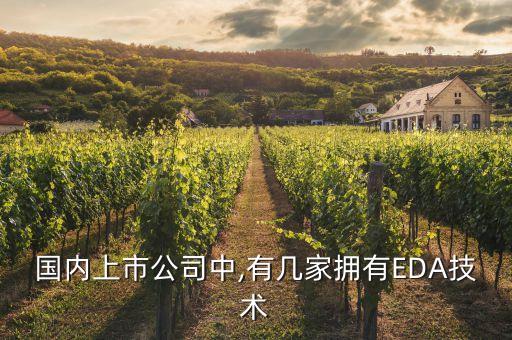 國內上市公司中,有幾家擁有EDA技術