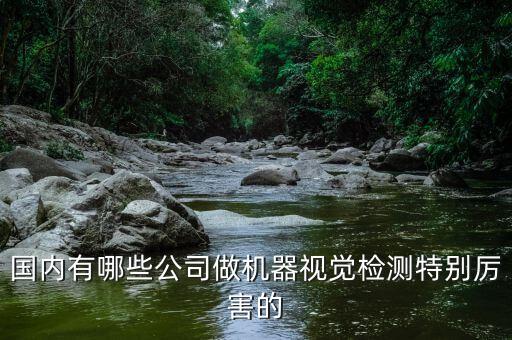 國內(nèi)有哪些公司做機器視覺檢測特別厲害的
