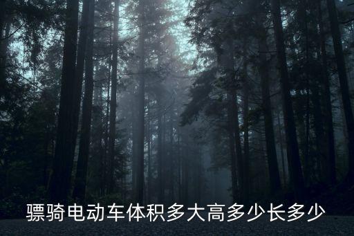 驃騎電動車體積多大高多少長多少