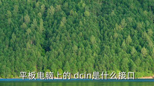 平板電腦上的 dcin是什么接口