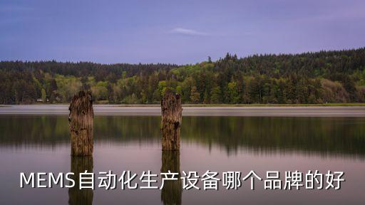 MEMS自動(dòng)化生產(chǎn)設(shè)備哪個(gè)品牌的好