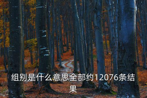 組別，計量單位組別是什么意思怎么填